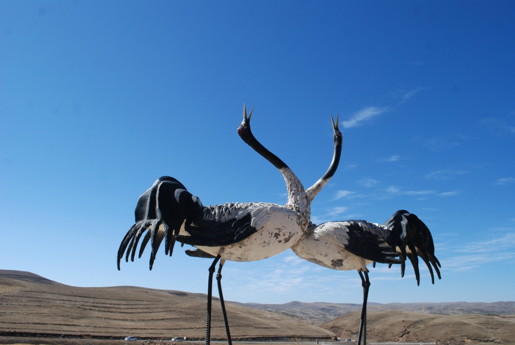 2014春节云南昭通大山包观鹤探险温泉之旅,旅游攻略 - 马蜂窝