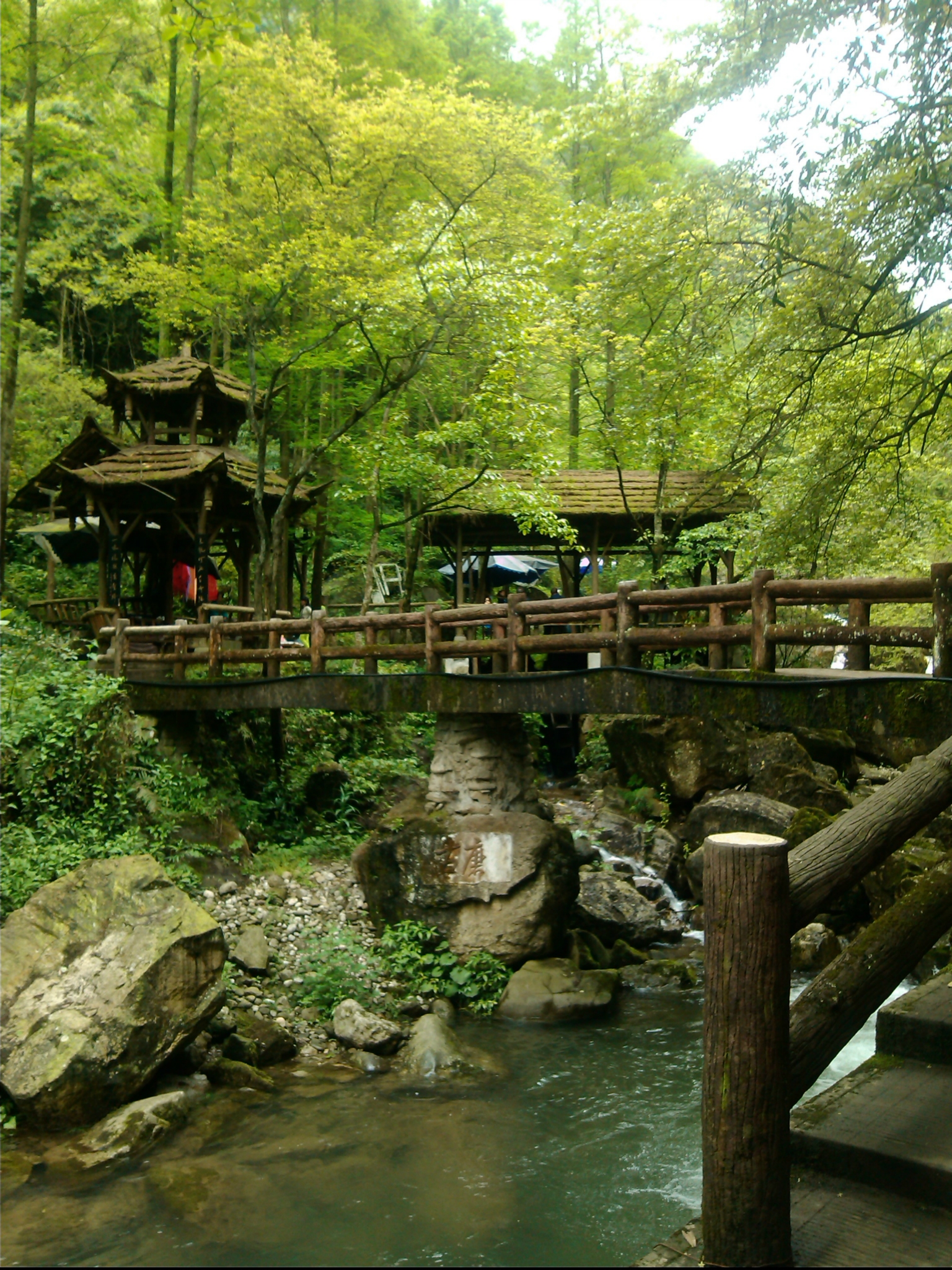 青城山后山徒步游记(徒步攻略)