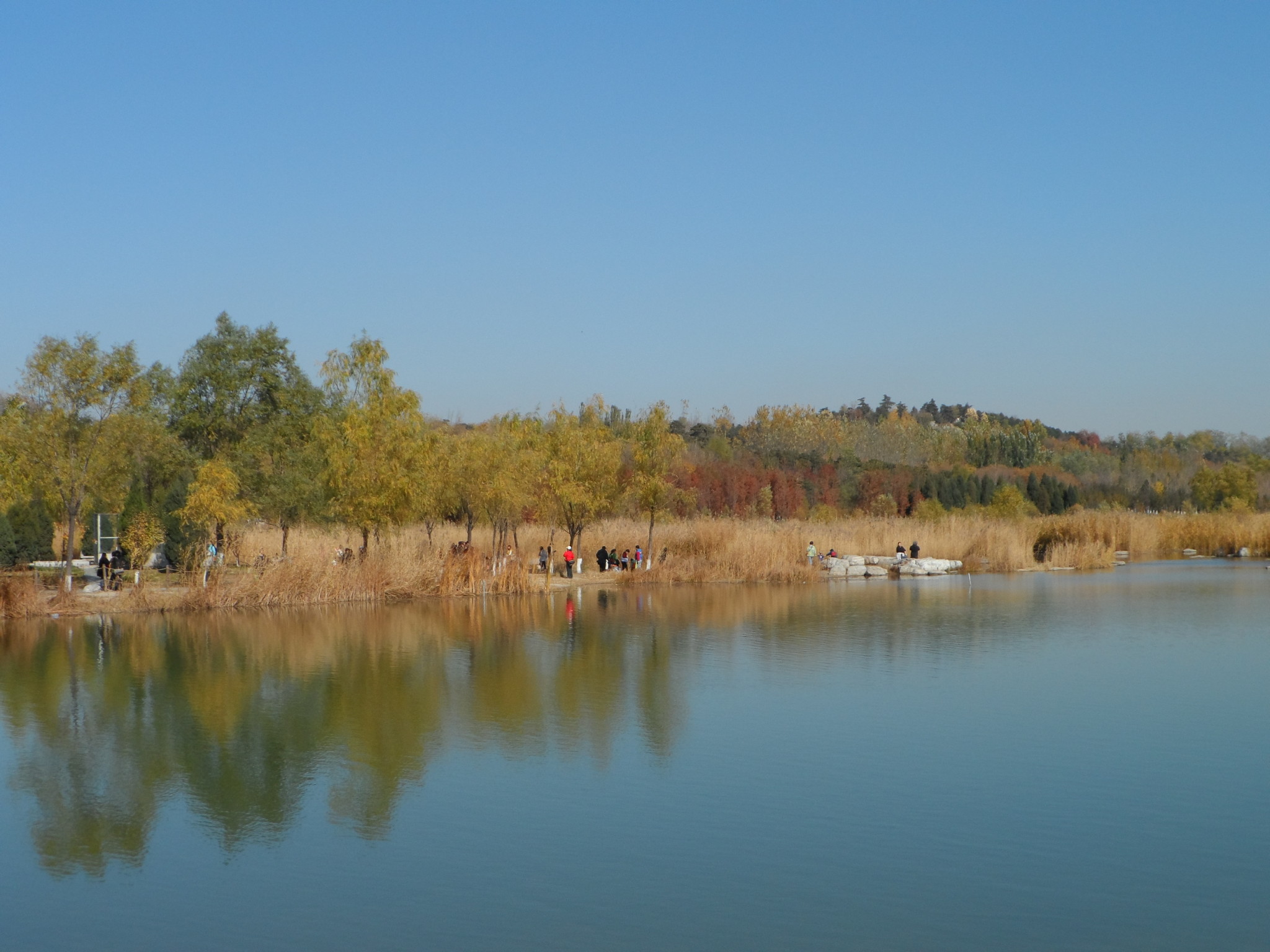 炫彩的奧林匹克森林公園譜寫著秋的韻律