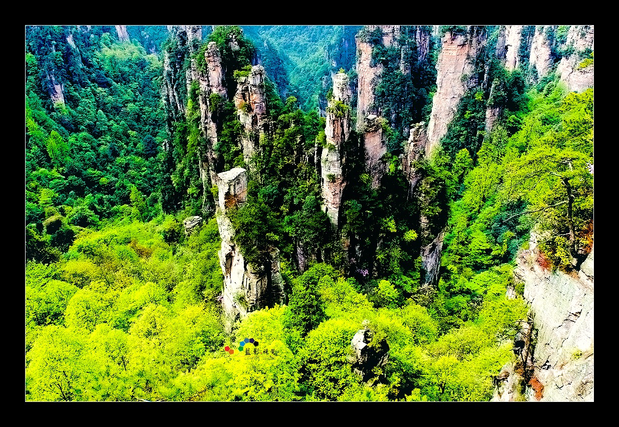 wKgB4lON_wWAFSfMAAsKdFfjgzE57.jpeg?imageView2%2F2%2Fw%2F600%2Fq%2F90