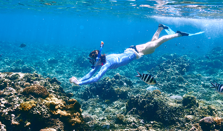三亚亚龙湾西排岛潜水一日游(潜水培训 远海潜水 摩托艇 香蕉船 三亚