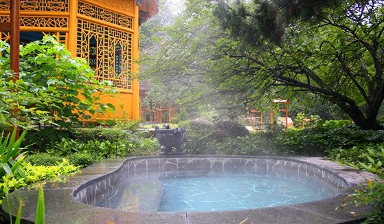 一只鸟飞温泉池猜一成语_一个人一只鸟成语猜图(3)