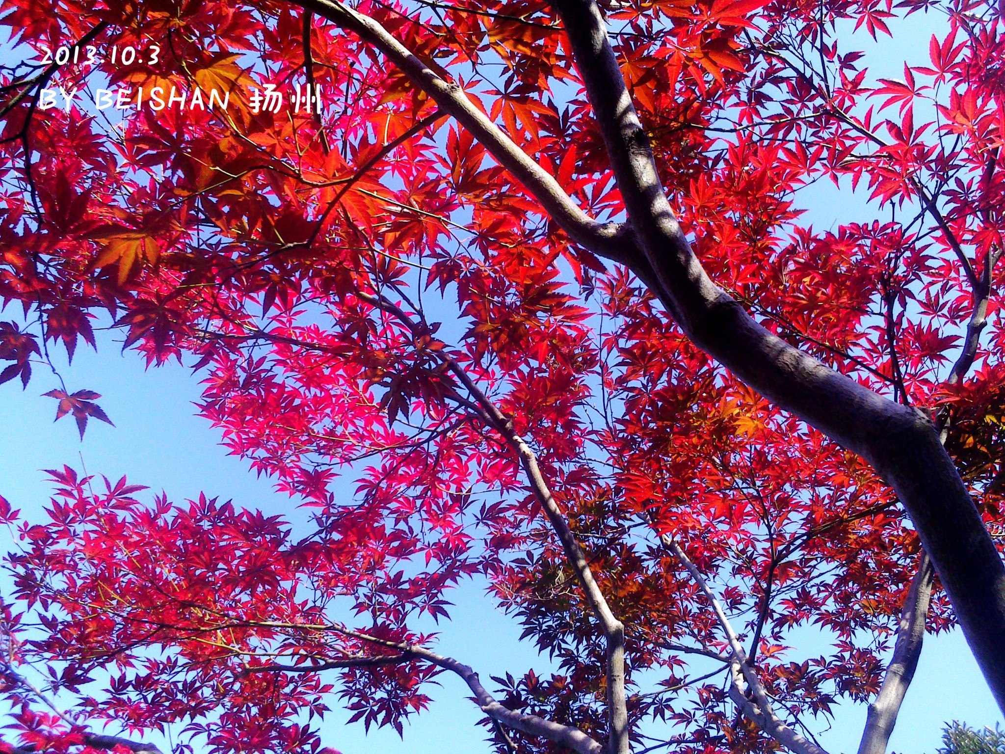 香山紅葉什麼時候2018北京香山紅葉時間交通門票攝影攻略