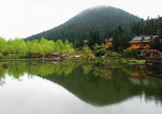 白马山森林公园 - 蚂蜂窝