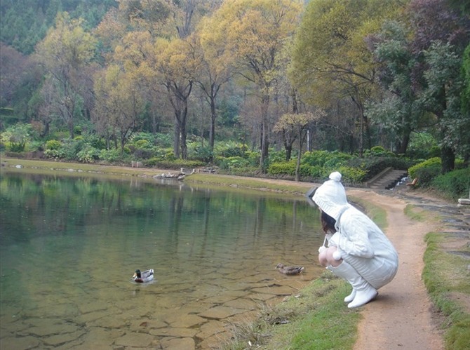 东下关人口_下关风图片