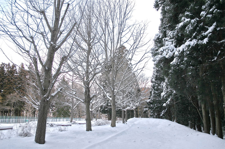 【仙台景點圖片】青葉山公園