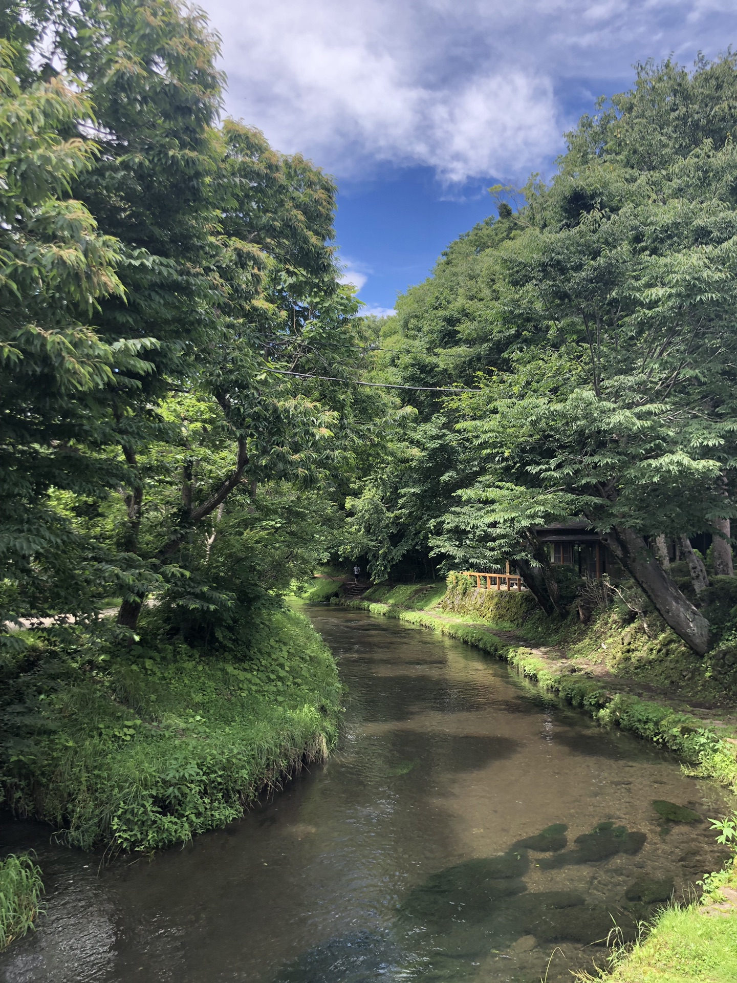 東京自助遊攻略