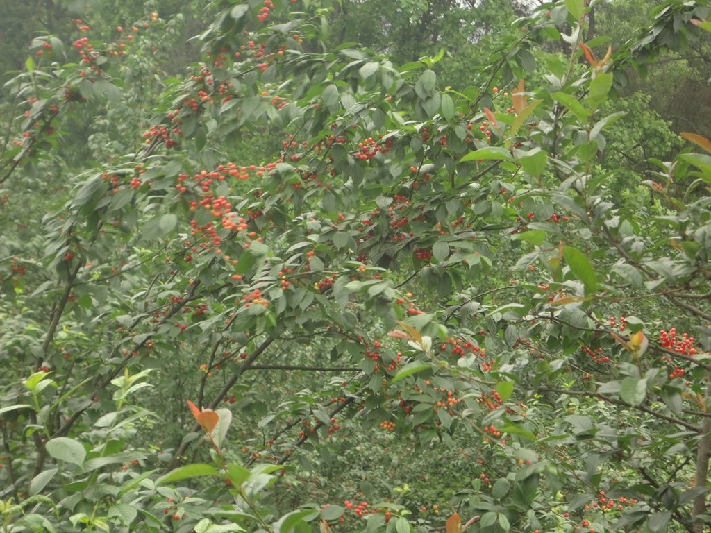 wKgB4lNfp82Advb8AAwkpNh31nk14.jpeg?imageView2%2F2%2Fw%2F600%2Fq%2F90