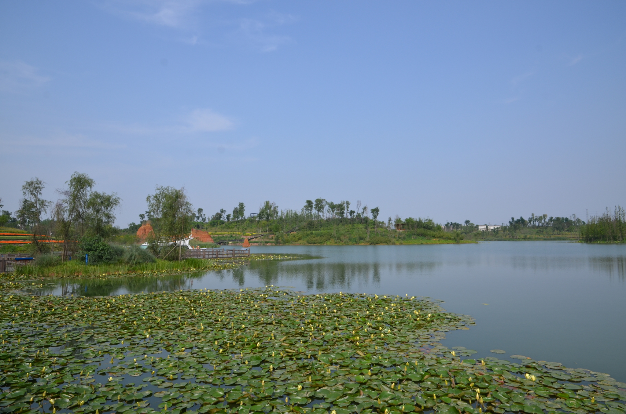 成都白鷺灣溼地公園