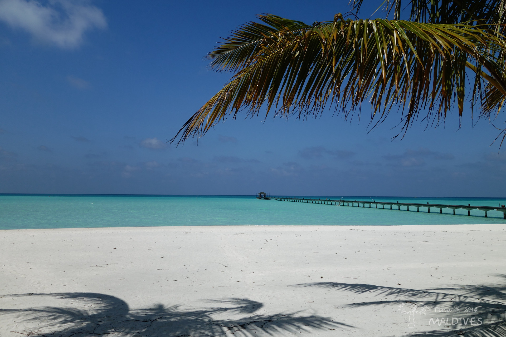 心中最不舍的那一抹绿-2014年初马代假日岛游记1,马尔代夫自助游攻略