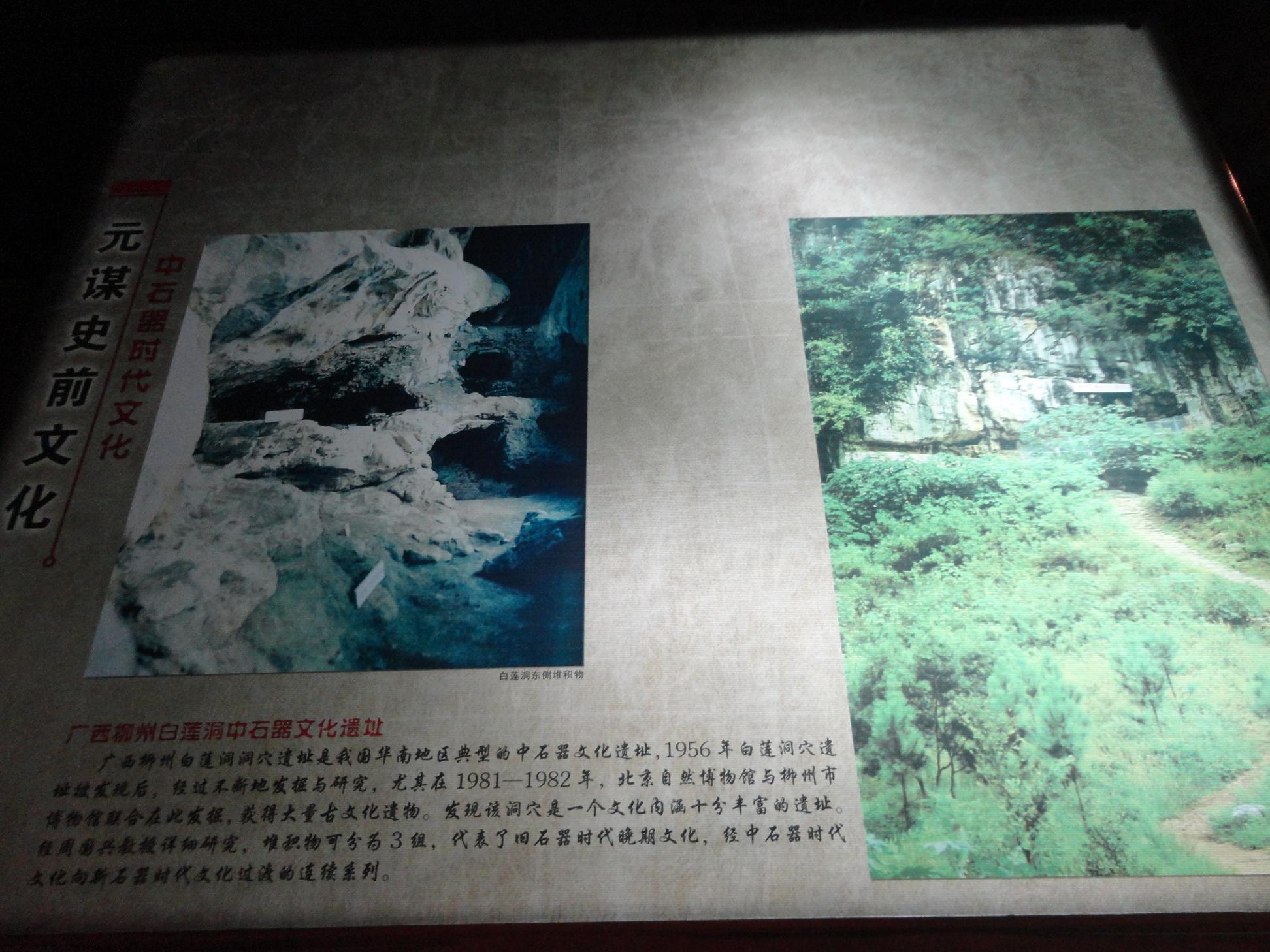 元谋人口诀_北京元谋人照片(3)