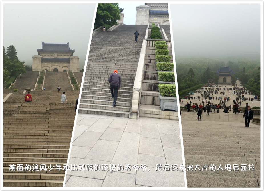 钟山有多少人口_南京钟山海拔多少(2)