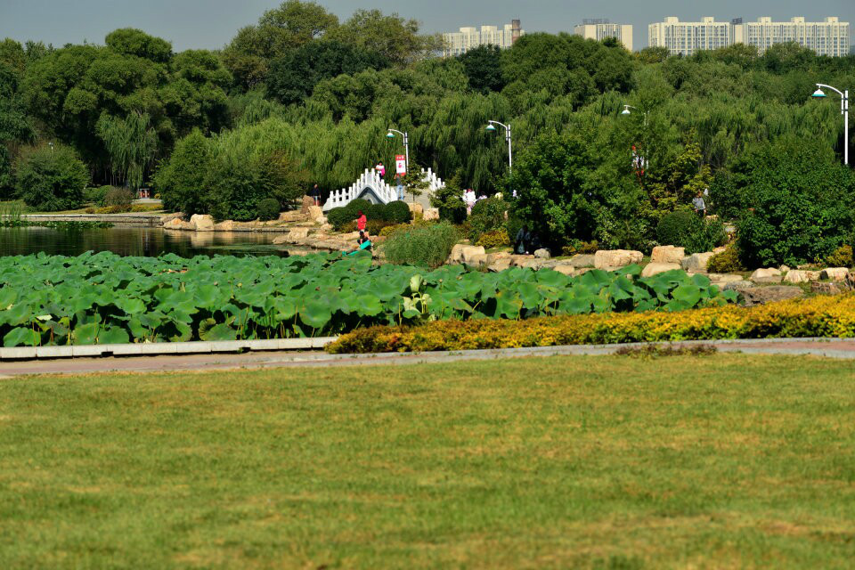 秀美的長春市南湖公園