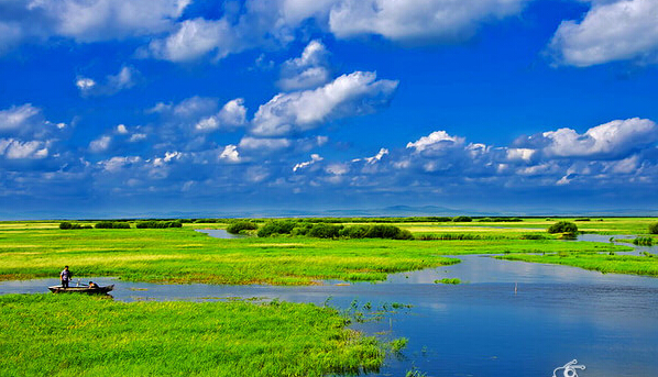 4.扎龙湿地(黑龙江)