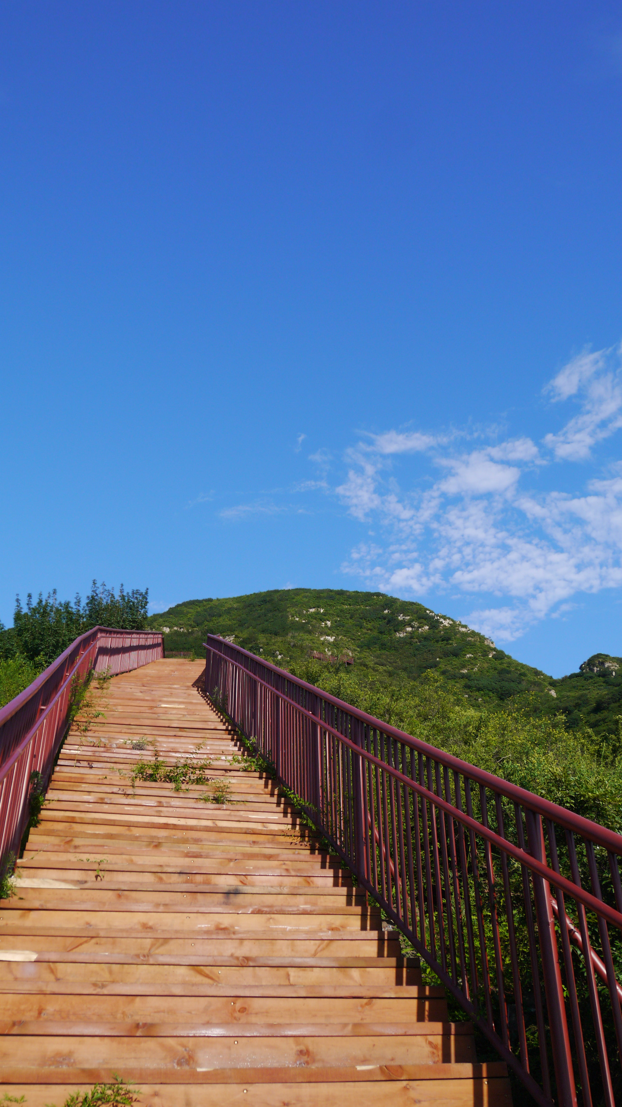 2014年8月6日 顺义 舞彩浅山滨水国家登山健身步道 木林段