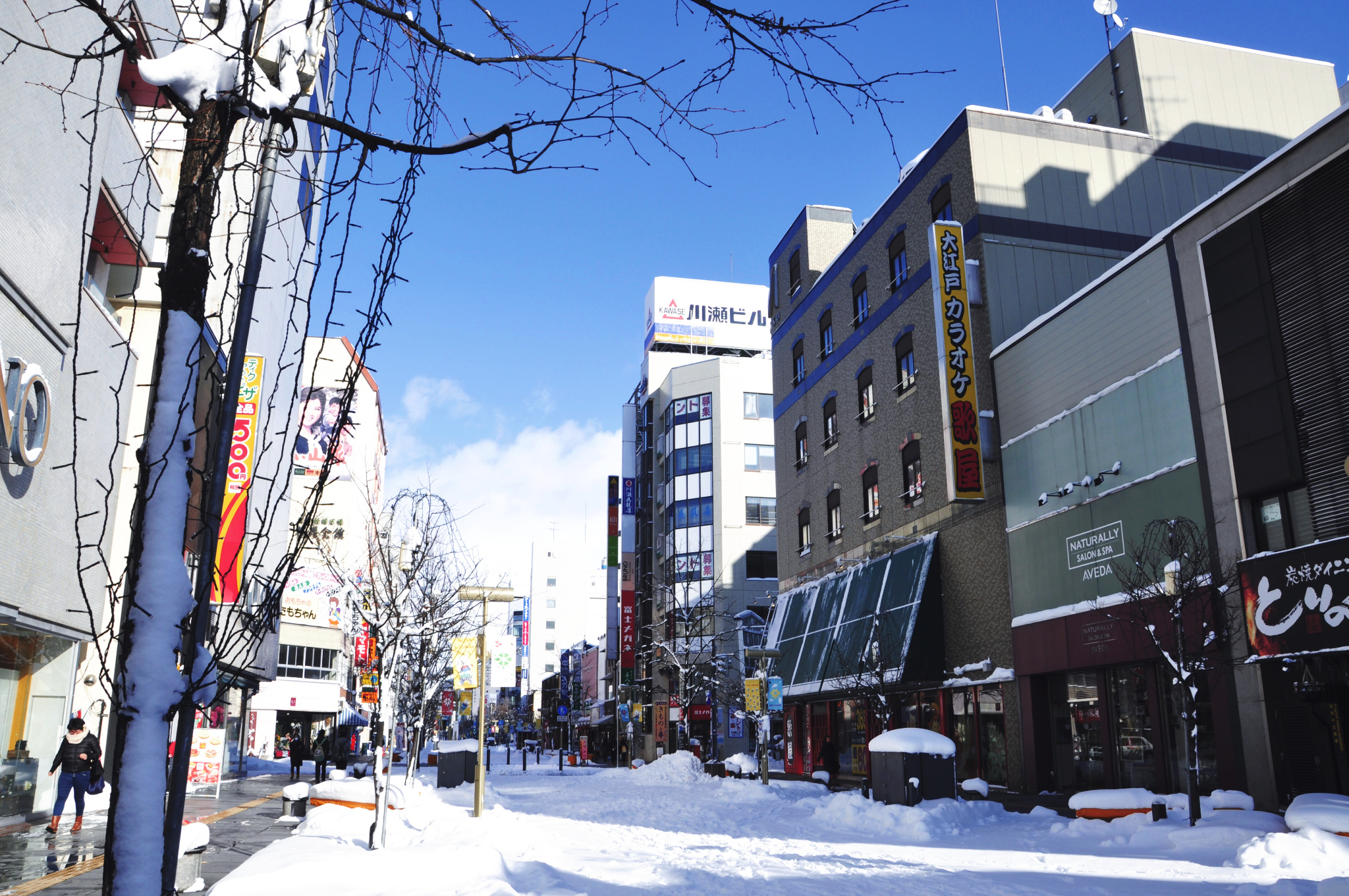 北海道自助遊攻略