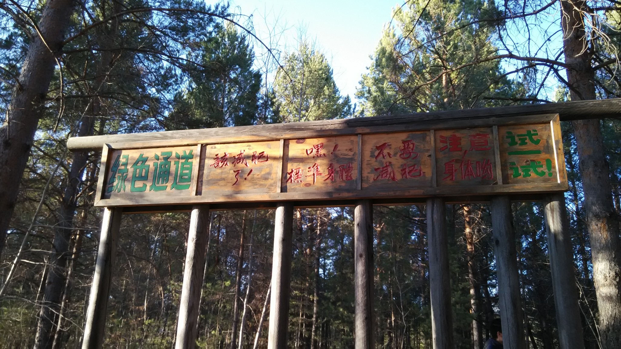 加格达奇多少人口_加格达奇地图