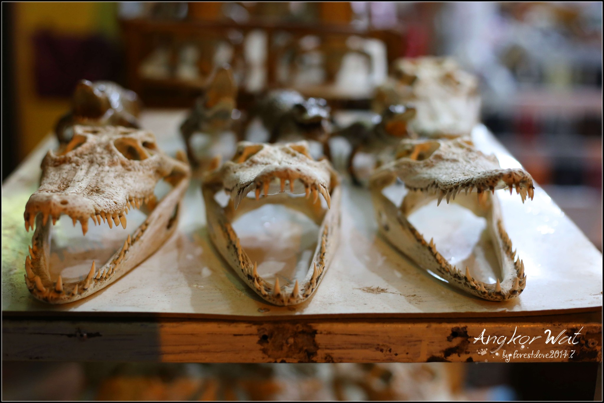 人咬鱼猜成语_看图猜成语(3)