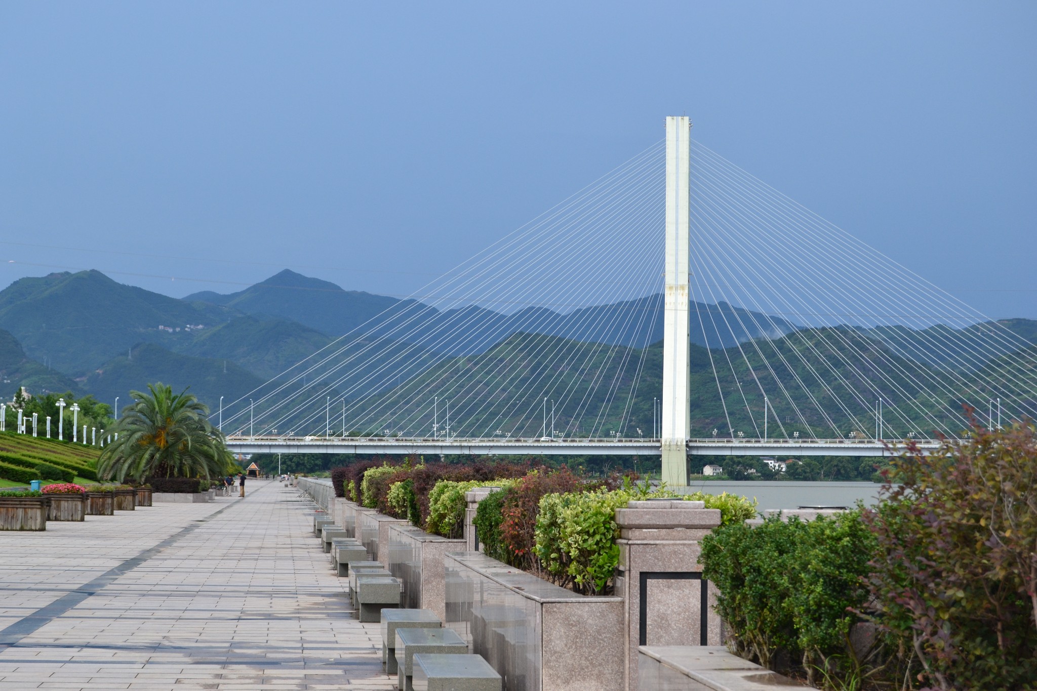 闲逛丽水雨后防洪堤图片25,丽水旅游景点,风景名胜 - 马蜂窝图库 - 马