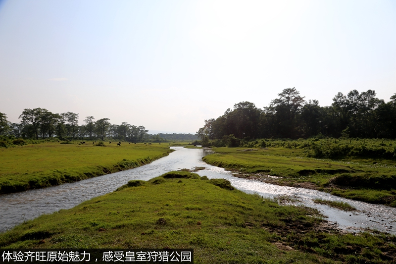 尼泊爾自助遊攻略