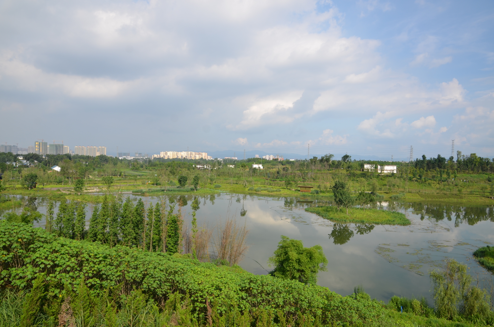 成都白鷺灣溼地公園