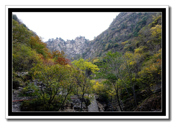 wKgB6lRHixKAA759AAHvulZy3JY59.jpeg?imageView2%2F2%2Fw%2F600%2Fq%2F90