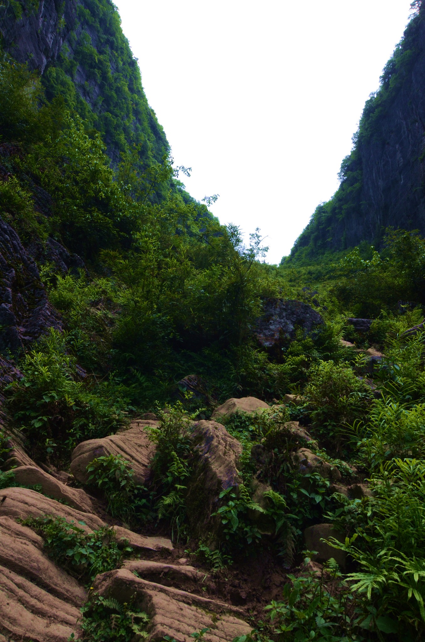 【秘境之旅】探寻清江古河床