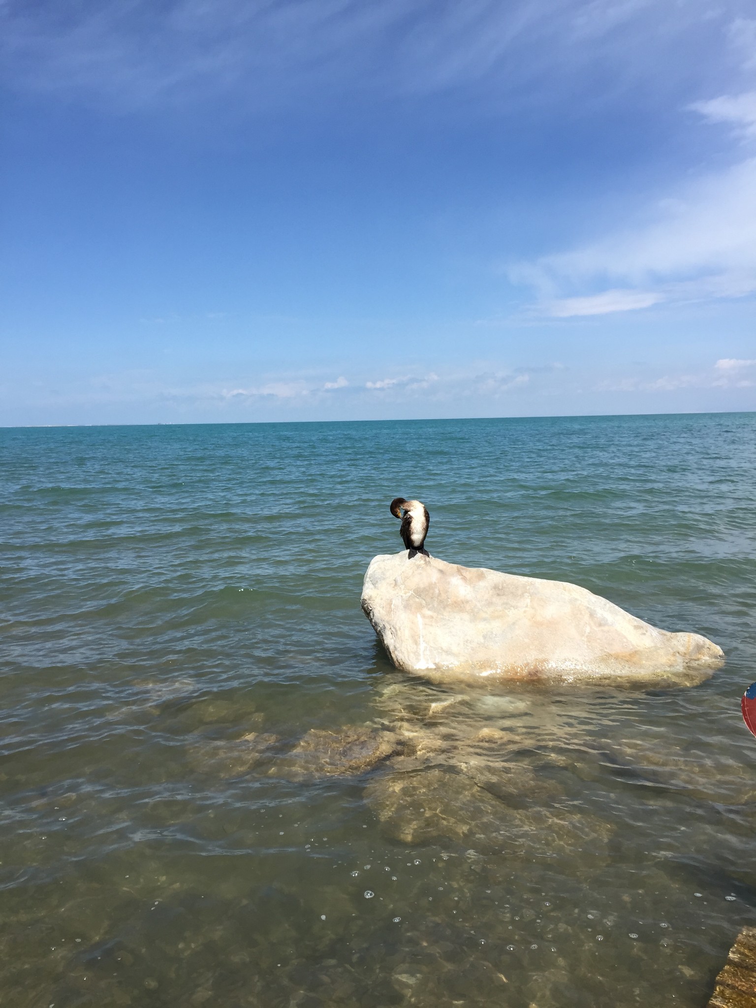 青海湖自助遊攻略