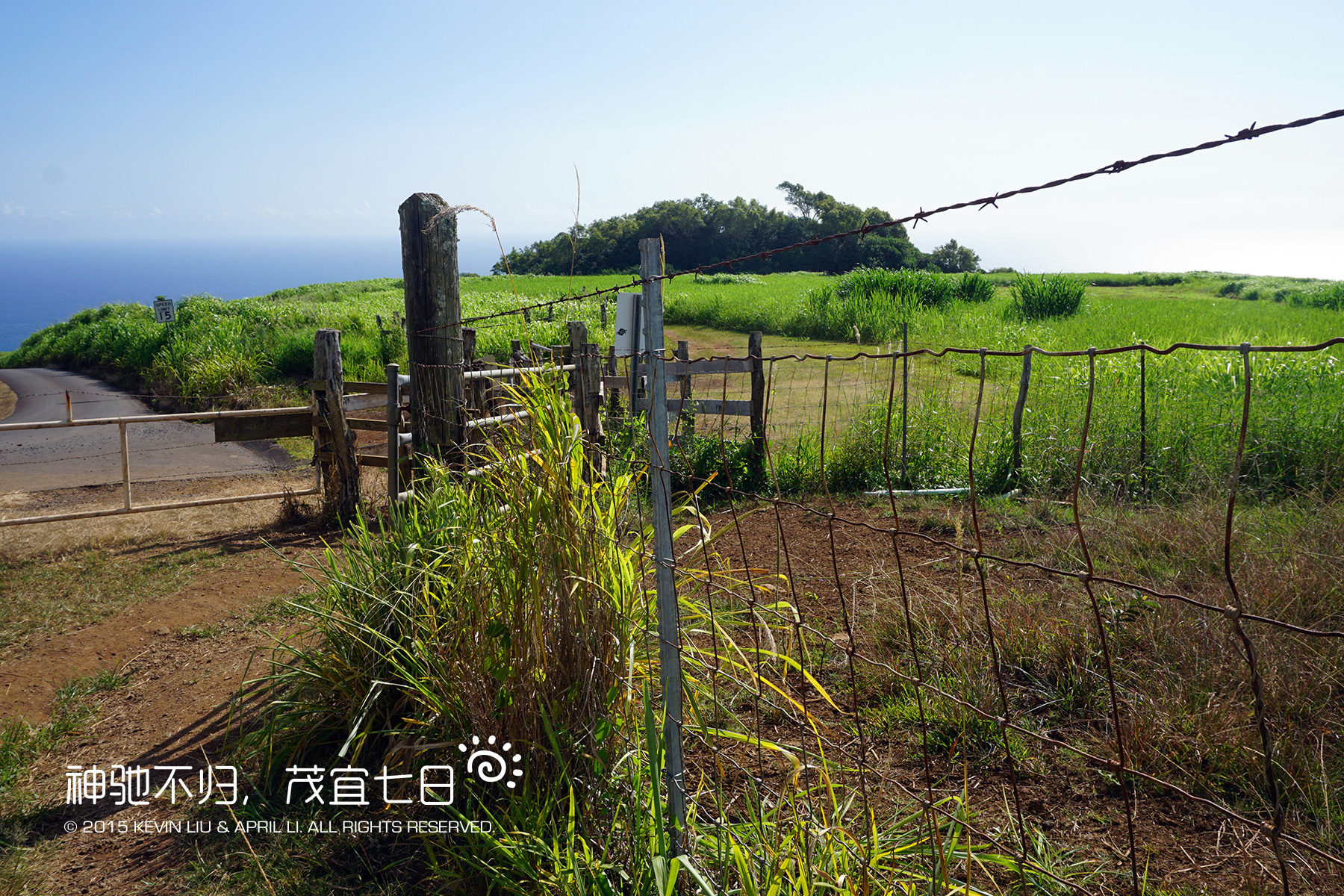 夏威夷自助遊攻略