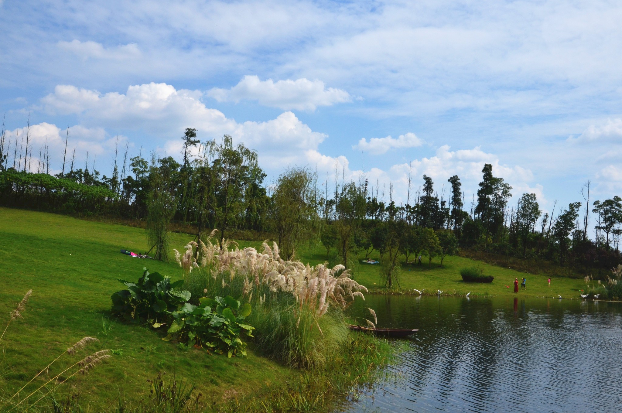 回复游记:成都的蓝天白云,久违了---秋高气爽的香城湿地公园