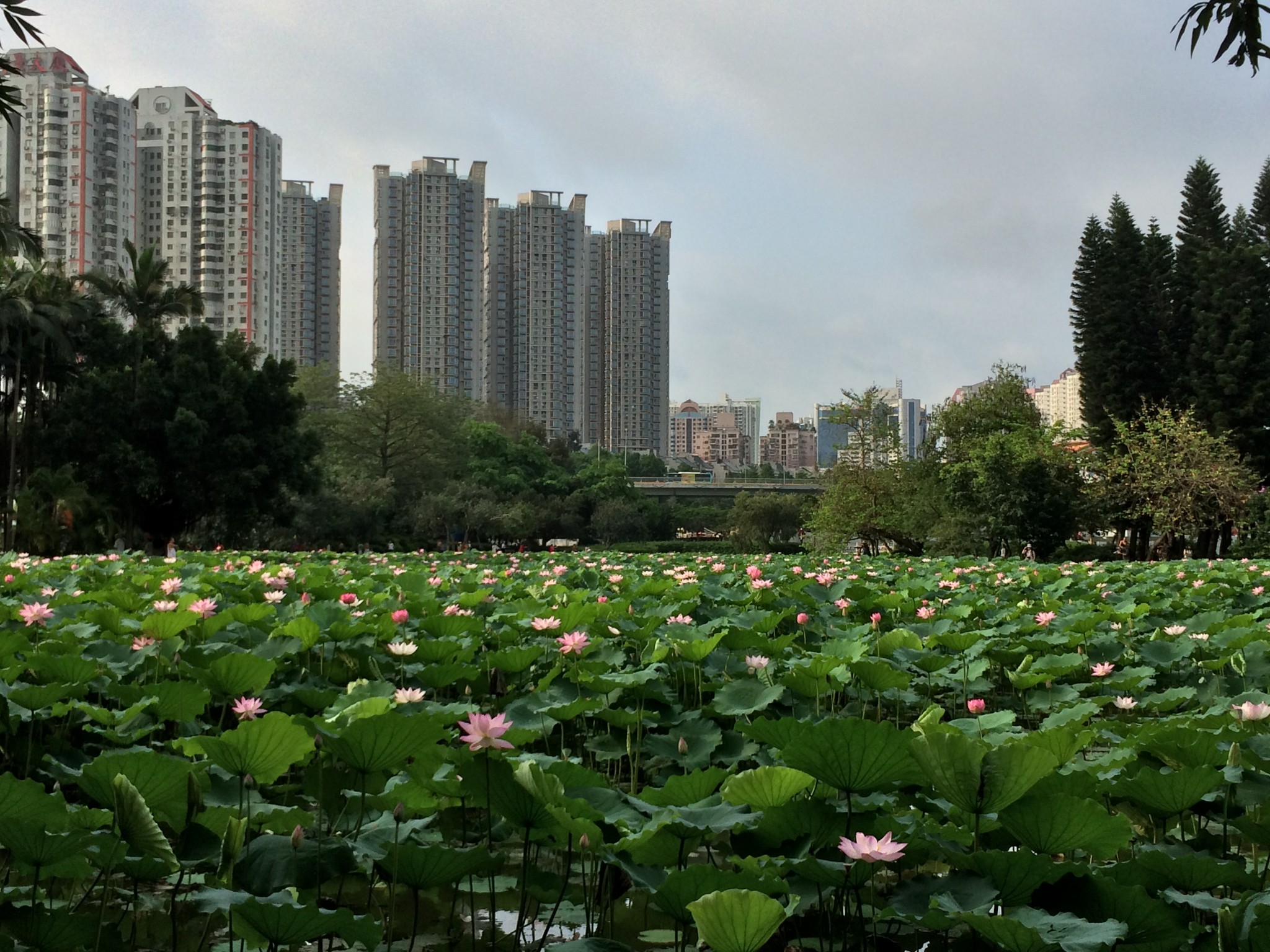 深圳自助遊攻略