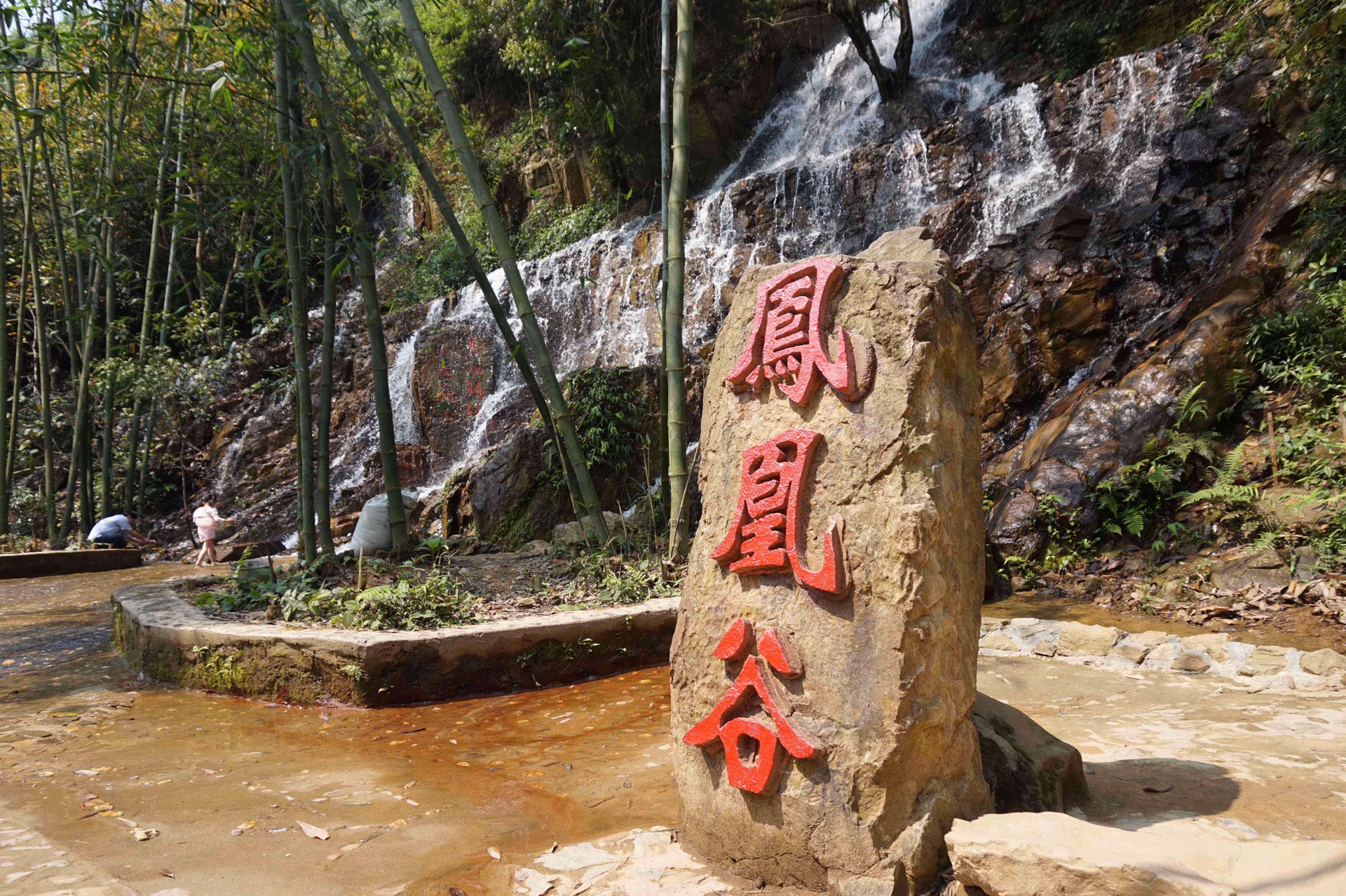 隐藏在南宁市里的原始山林:凤凰谷的人间四月天_游记