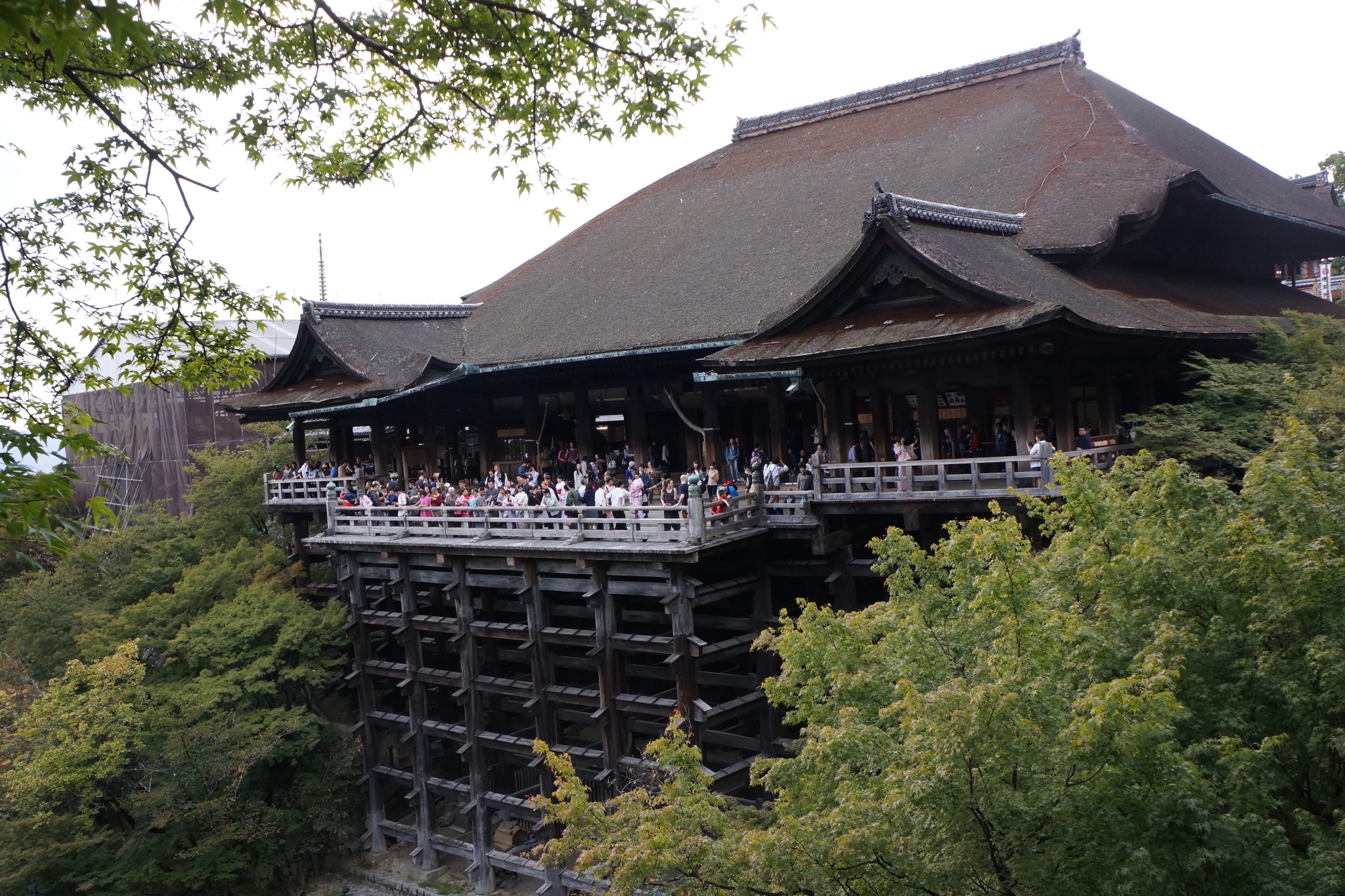 京都自助遊攻略