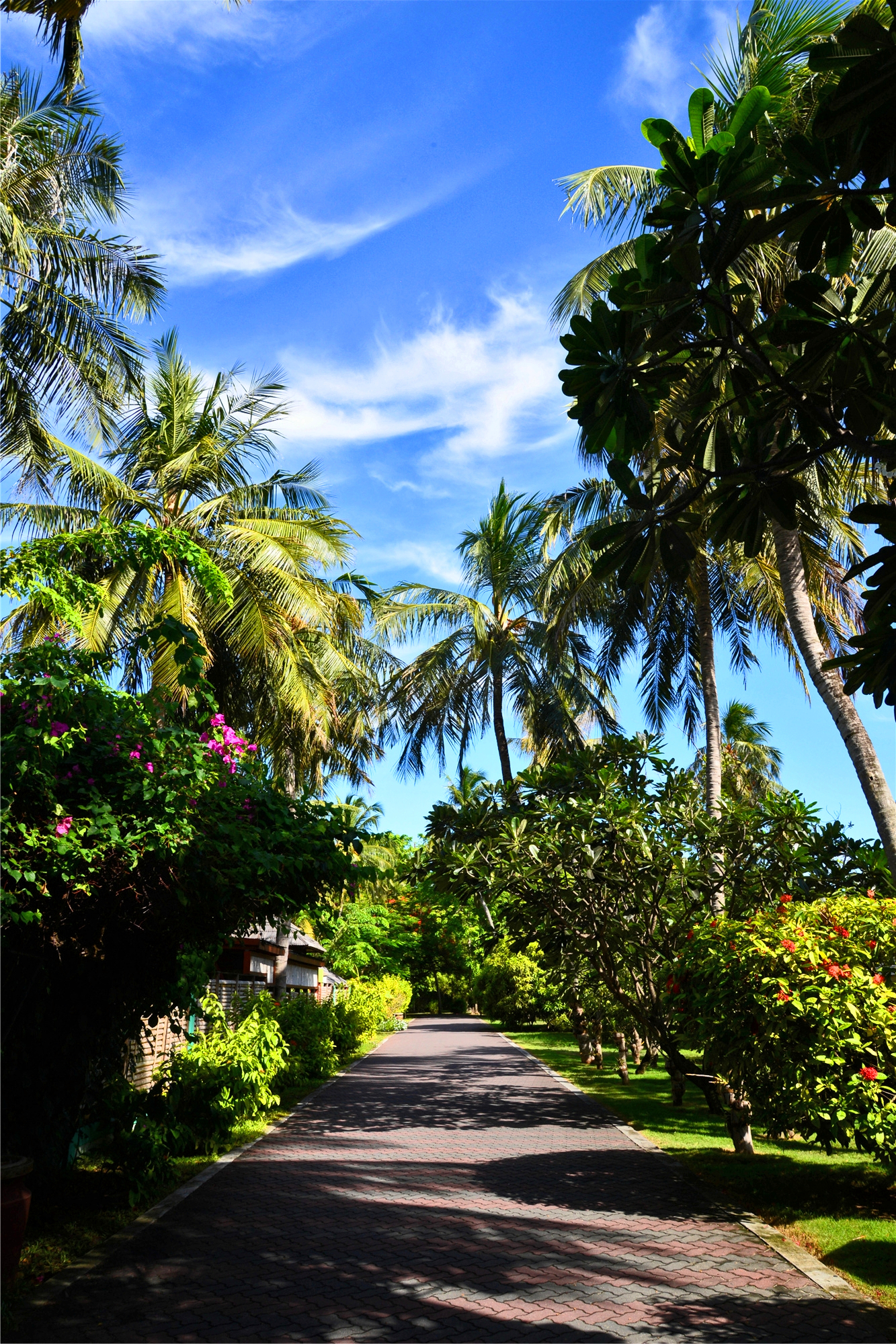 消夏计划梦中de天堂在马尔代夫太阳岛假日岛の简单小日子