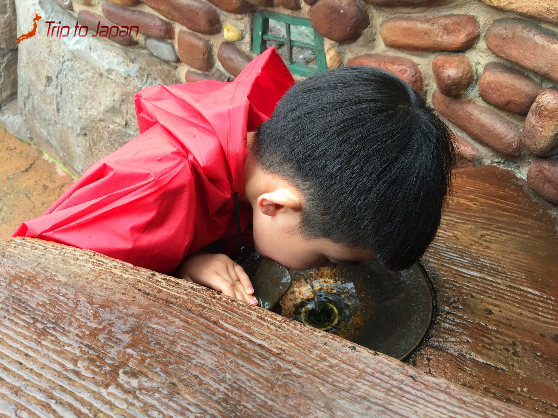 厂商: apple 型号: iphone 6 plus 焦距: 83/20 光圈: f/11/5 iso