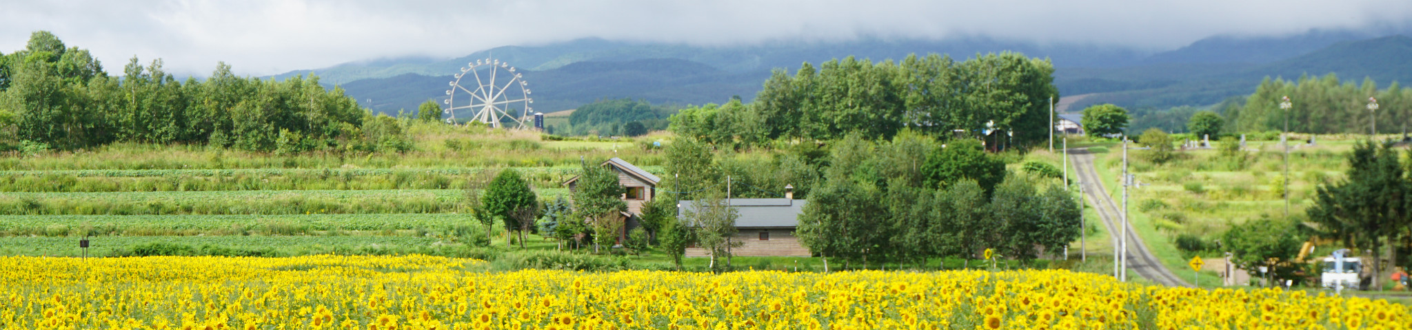 不凑巧的时间 凑巧的旅行 夏の北海道 北海道自助游攻略 马蜂窝