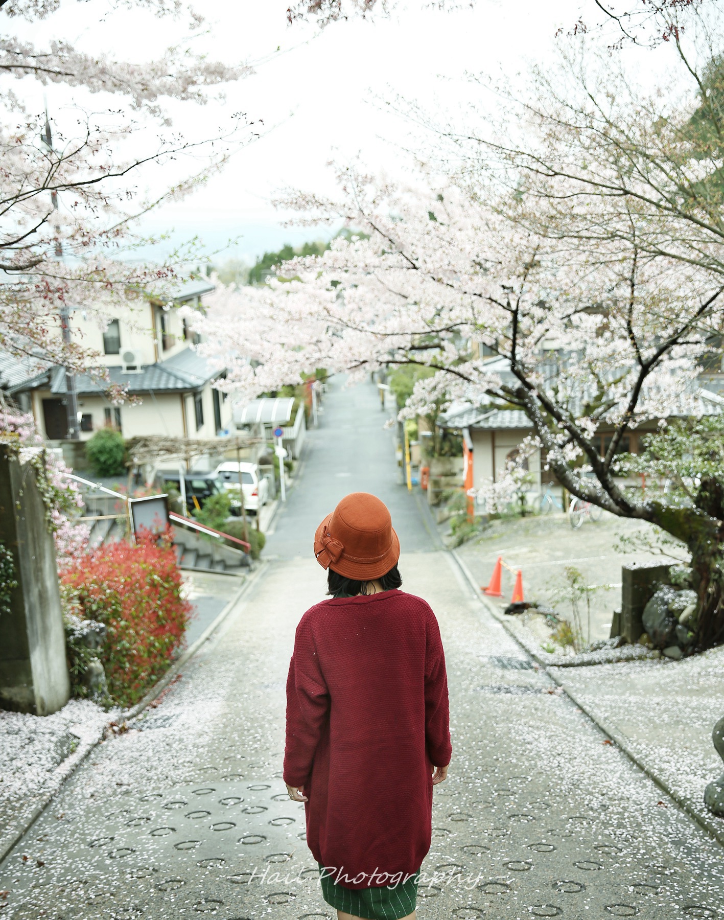 名古屋 京都 宇治 奈良 近江八幡市 大阪9日游 日本行程推荐 马蜂窝