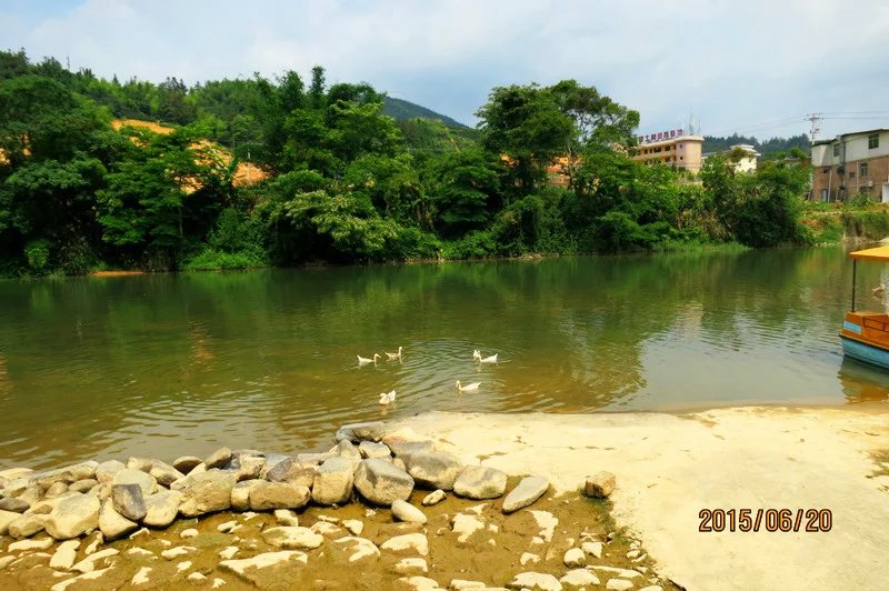 在电视剧《野鸭子》的拍摄地,终于找到了几只鸭子