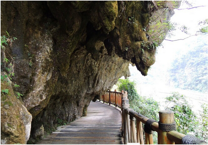 碧潭幽谷一日游 | 金佛山免门票,我去捡了个耙货