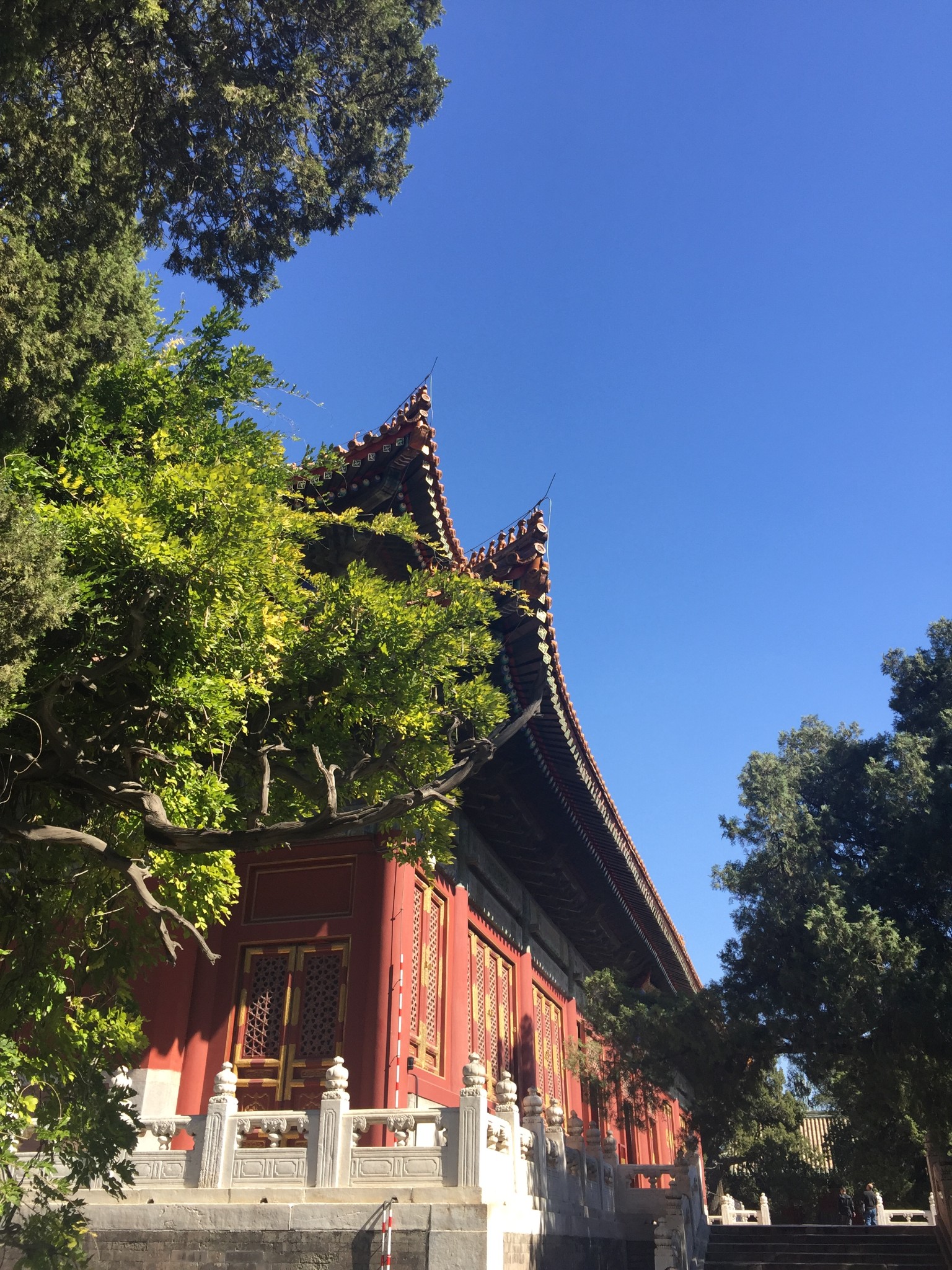 诗经尚书周礼仪礼礼记乐经猜成语_看图猜成语(2)