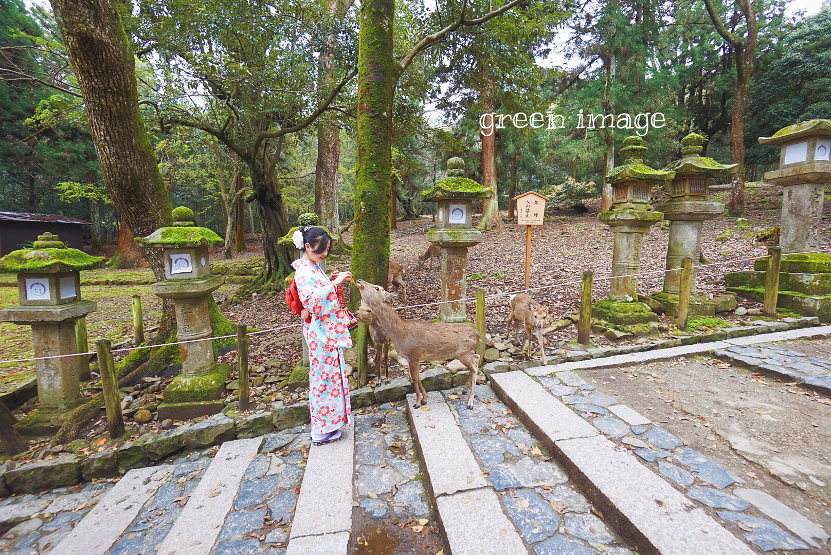 京都自助遊攻略