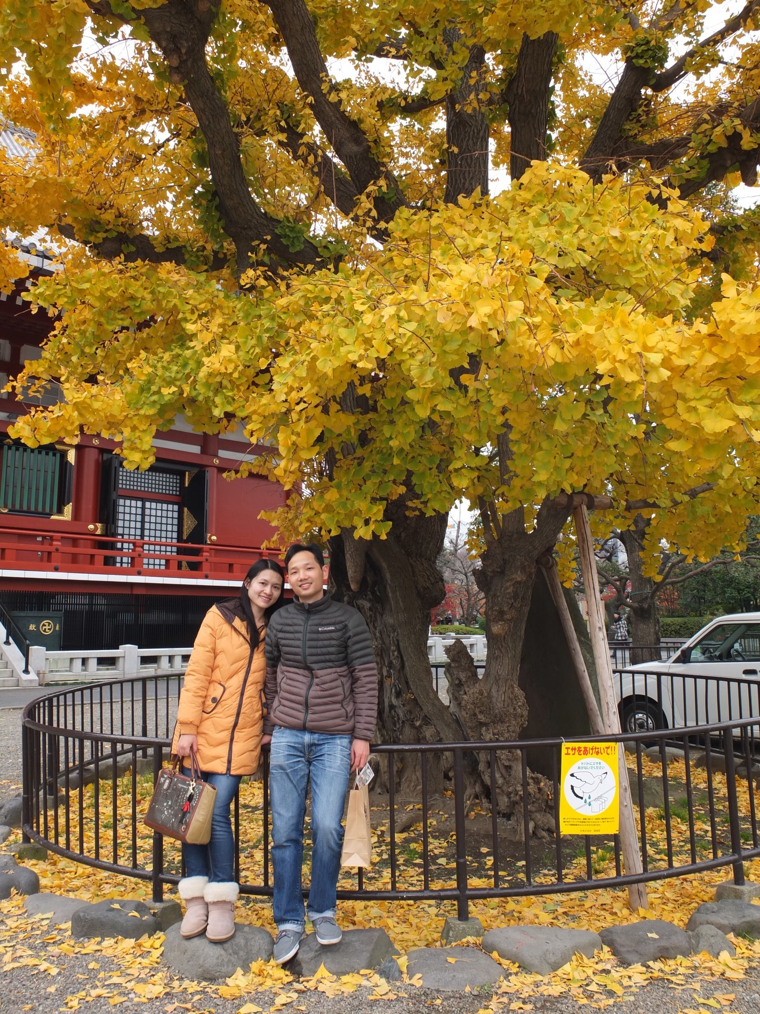 京都自助遊攻略