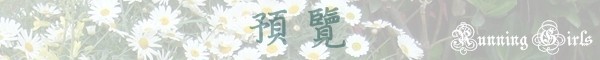 預覽 預覽