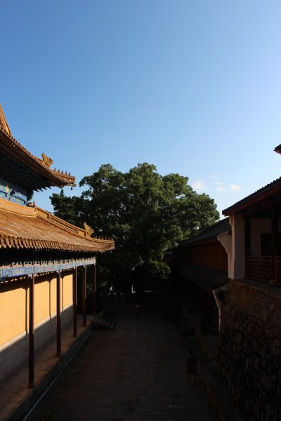 普陀山三大寺——普濟寺,法雨寺,慧濟寺