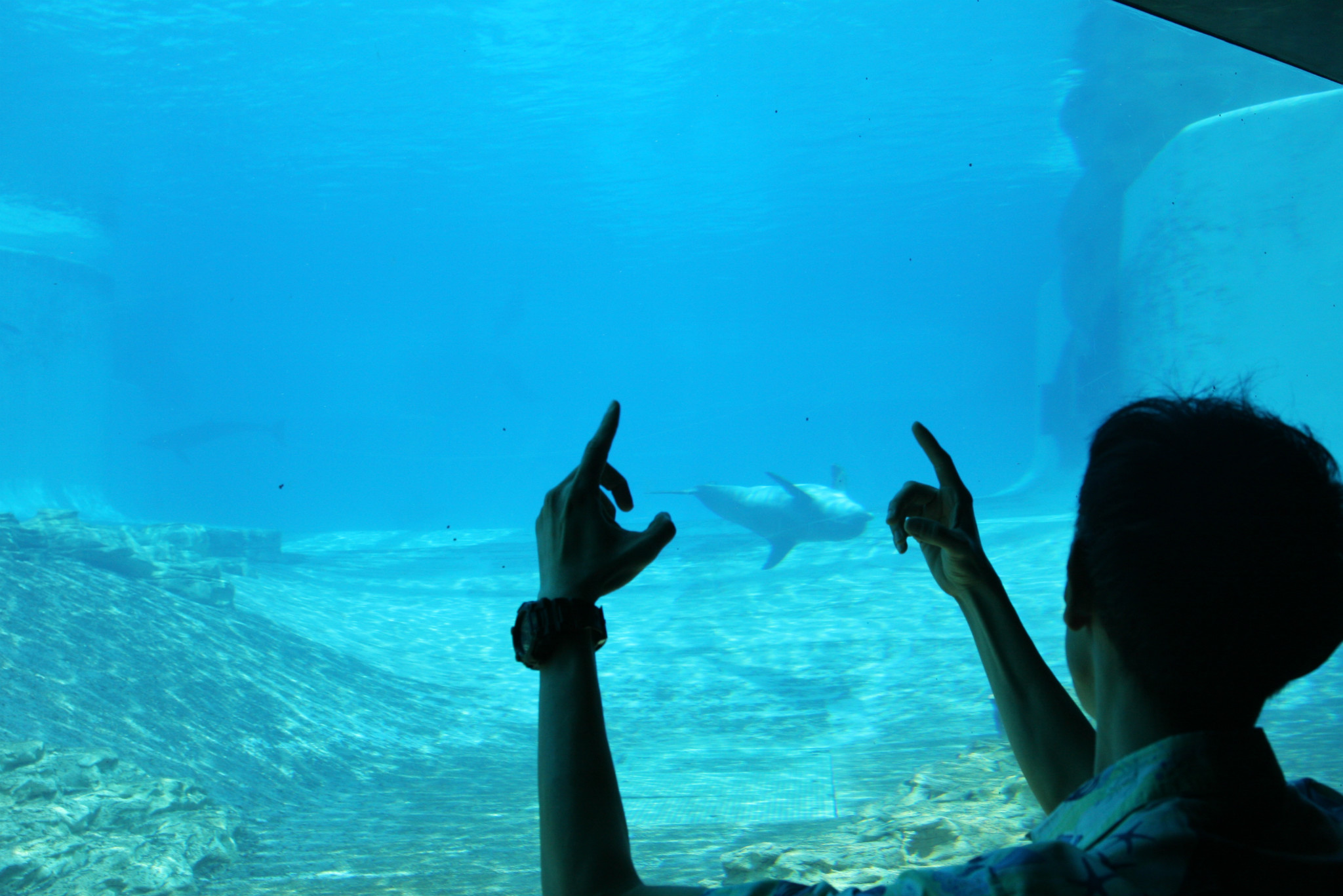 水族有多少人口_北流隆盛镇有多少人口(3)