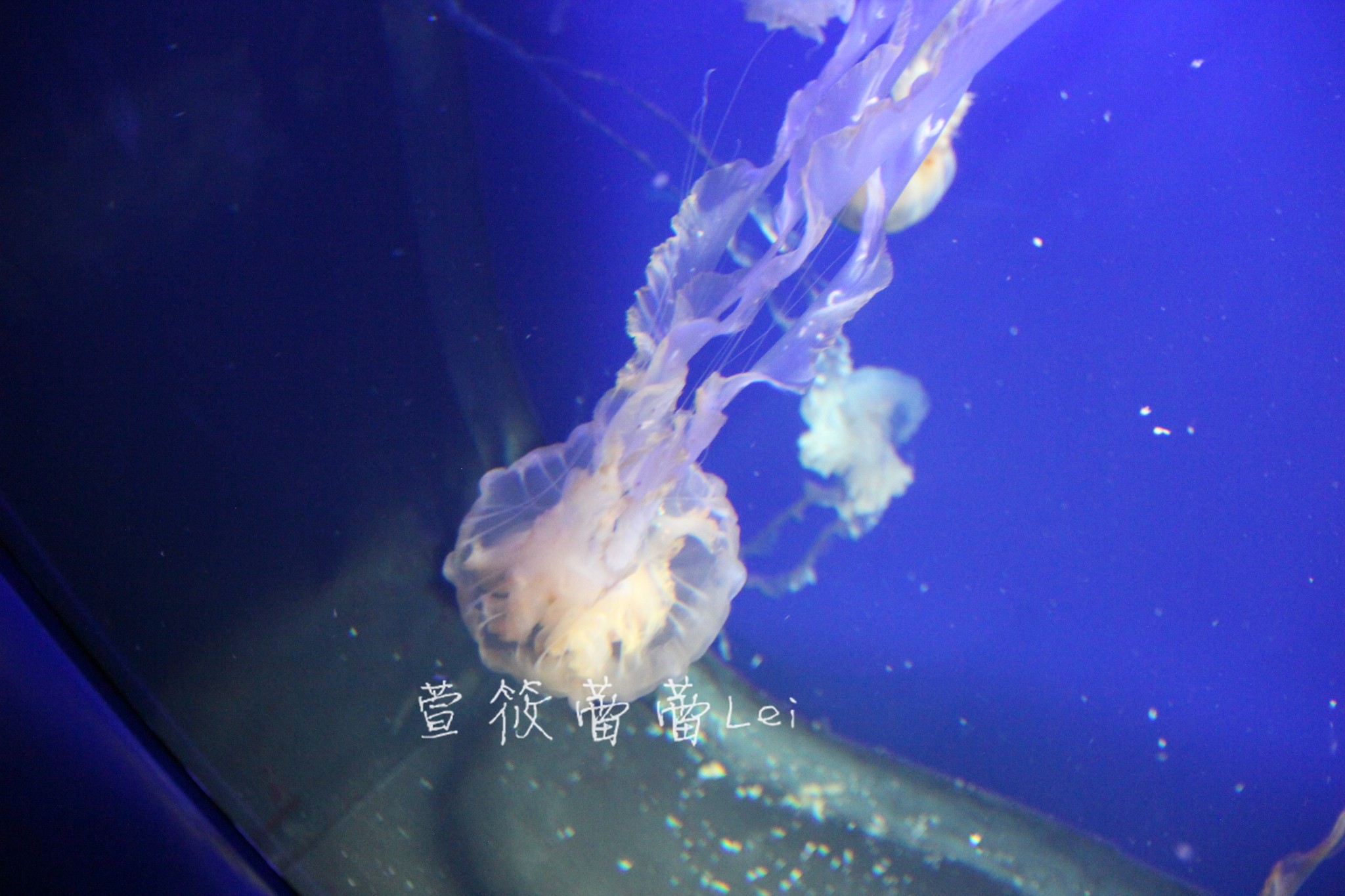 wKgBpVUpKfCASOn4AAfMZgP-6Tk67.jpeg?imageView2%2F2%2Fw%2F680%2Fq%2F90