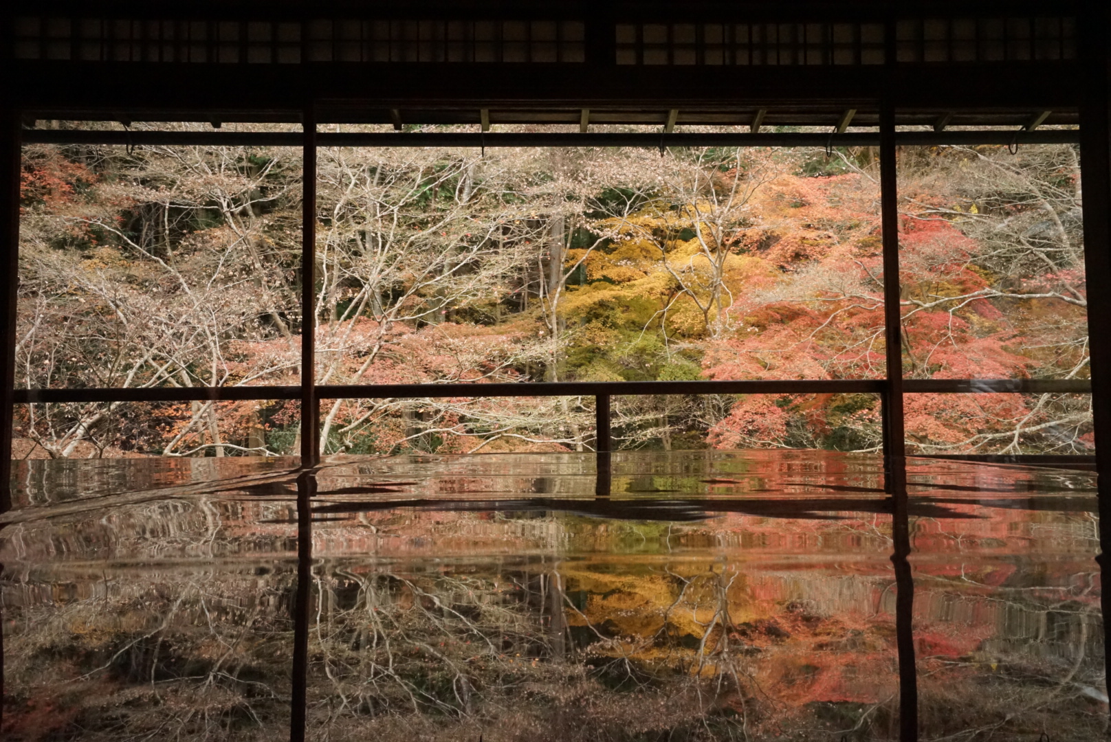 京都自助遊攻略