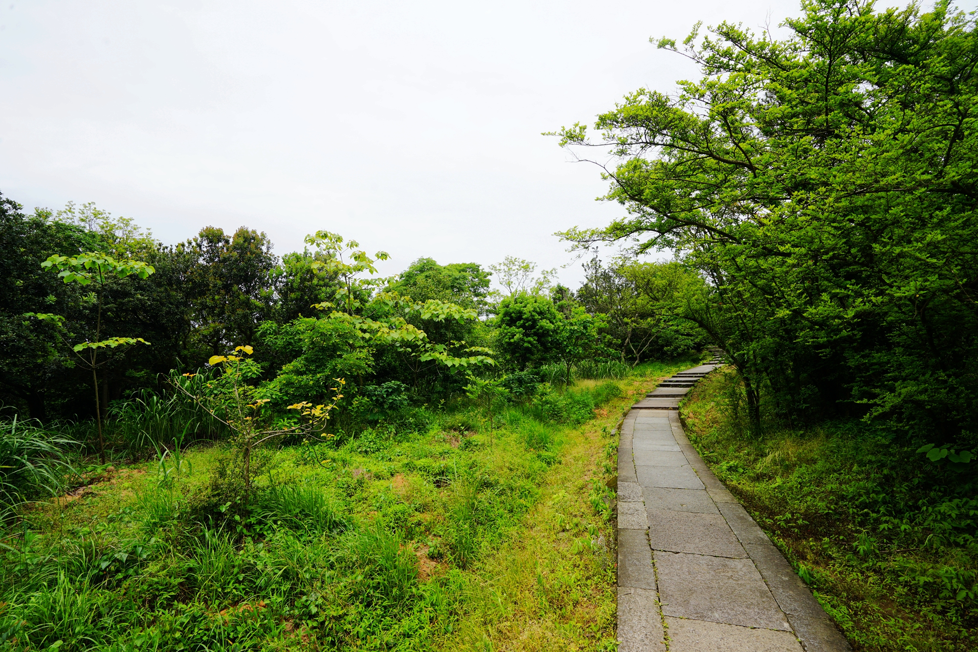 普陀山自助遊攻略