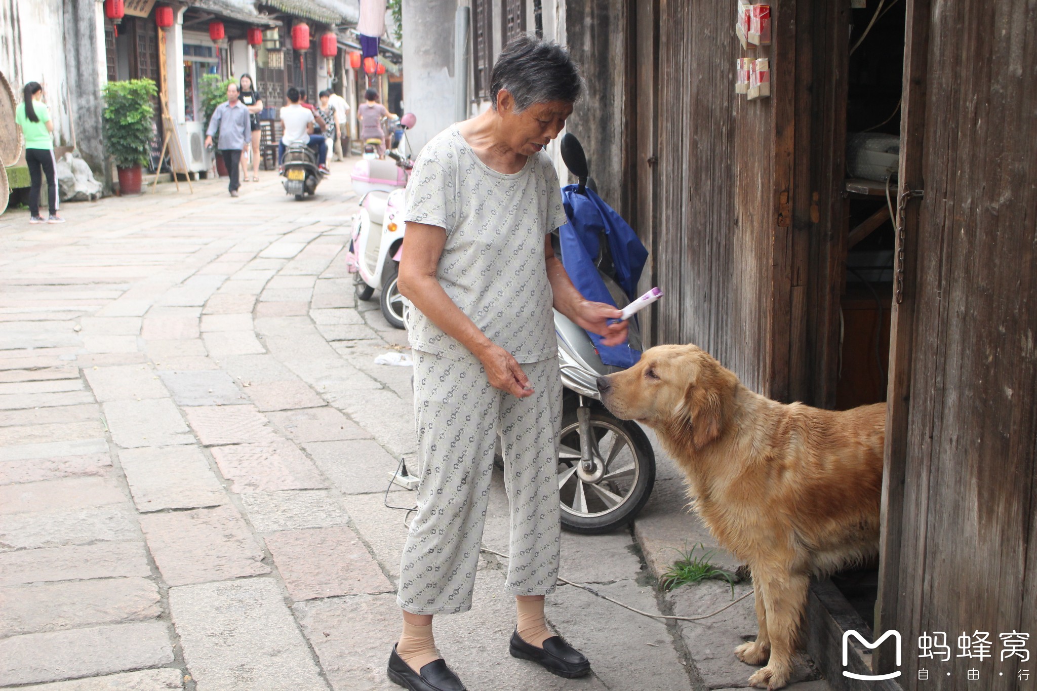 南潯自助遊攻略