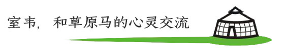 室韦,和草原马的心灵交流 室韦,和草原马的心灵交流